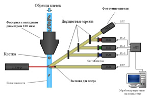 Схема оборудования для проведения проточной цитометрии.